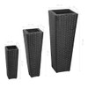 3 Rattan Flower Raised Beds Black
