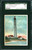 1911 T77 HASSAN CIGARETTES LIGHT HOUSE CAPE MAY LIGHT SGC 60 EX 5 N1000330-029