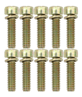 AED6224X Throttle Body Screws (10pk)