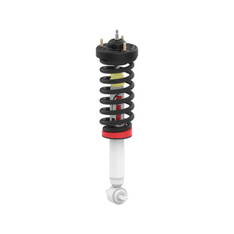 RANRS999957 Quick Lift Loaded Strut