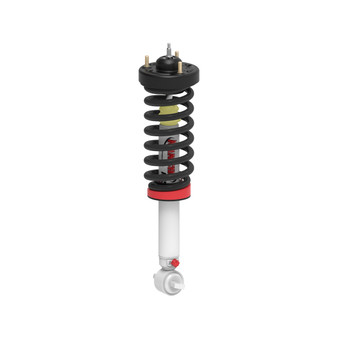 RANRS999958 Quick Lift Loaded Strut
