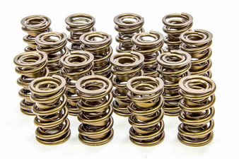 ISK9999-RAD 1.600 Valve Springs 
