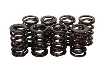 ISK7005-8 Valve Springs - Nissan SOHC
