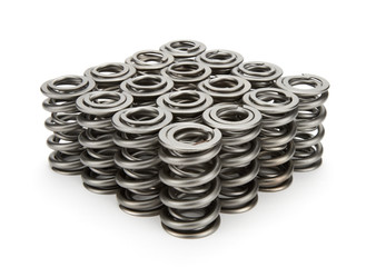 PACPAC-1325-16 1.550 Dual Valve Springs (16)