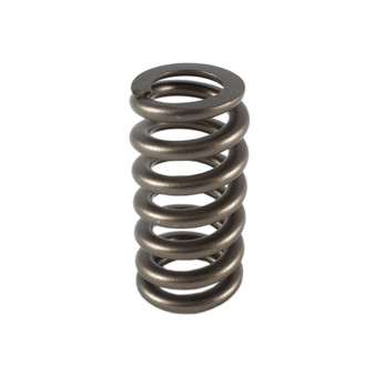 PACPAC-1219 1.307 Valve Spring - Ovate Beehive (1)