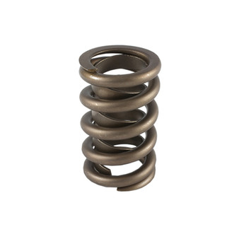PACPAC-1201 1.260 Single Valve Spring w/Damper (1)