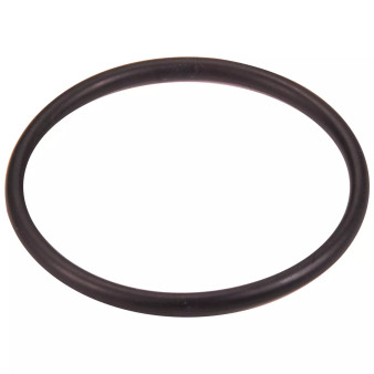 M77C31302 Thermostat Housing O-Ring Ford 4.6L