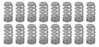 PACPAC-1234X-16 1.021 Valve Springs - Ovate Beehive (16)