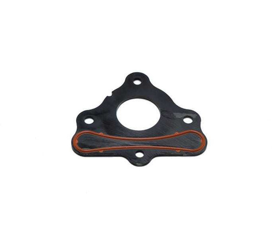 BTRBTR89016 Cam Retainer Plate 