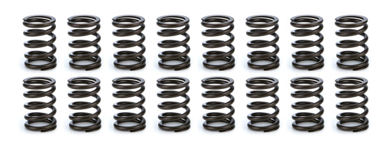 COM26903-16 Valve Spring Set 