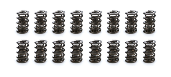 ISK1248 1.600 Triple Valve Spring Set (16)