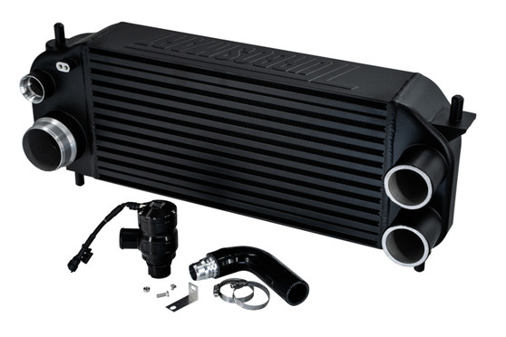 TBSTS-PK-1002 F150 Intercooler & BOV Black Recirc Kit