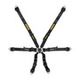 SRBSR94530-0-29 6pt Harness Flexi Black FIA Hans