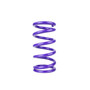 DRSDRAUMP9.5.5.00.400 Spring  Conventional  Fr ont  9.500in Length  5.0