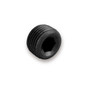 EARAT593202ERL NPT Plug Allen Head 1/8 NPT (2pk)