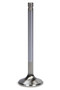 FERF1811P-1 SBC C/P 1.600 Exhaust Valve