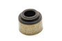 GMP10212810 Valve Stem Oil Seal - SBC LT4