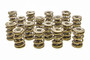 PACPAC-1347-16 1.645 Triple Valve Springs (16)