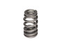COM26918-1 1.310 Beehive Valve Spring - LS1