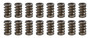 PACPAC-1216L-16 1.260 Valve Springs  w/ Damper (16)