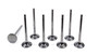 DELEV1600-2T-CRST-8 11/32 Exhaust Valves - 1.600