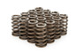 PACPAC-1235-16 1.210 Valve Springs - Ovate Beehive (16)
