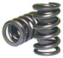 HRC98213 Single Valve Springs - 1.265