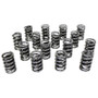 HRC98215 Single Valve Springs - 1.265