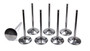 DELIV2180-6T-CRST-8 11/32 Intake Valves - 2.180