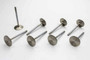 MAN11555-8 SBC R/F 1.600 Exhaust Valves