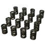 HRC98643 1.550 Dual Valve Springs 