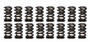 PACPAC-1203-16 1.260 Dual Valve Springs (16)