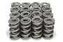 PACPAC-1354-16 1.550 Dual Valve Springs (16)