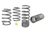 WHIWSK-SUB009 Coil Springs - Lowered 