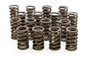ISK295-D 1.260in Valve Springs 
