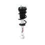 RANRS551845 RS5000X Loaded Strut Assembly