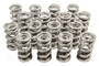 PACPAC-1361-16 1.536 Dual Valve Springs (16)