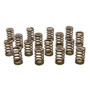 PACPAC-1214X-16 1.061 Valve Springs - Ovate Beehive (16)