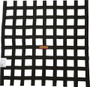 RQP726007 Ribbon Net 21x24 SFI Black