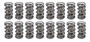 PACPAC-1356-16 1.500 Dual Valve Springs (16)