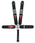 CRW11004B 5-Pt Harness Small Latch Blk Bolt In BLK Hardware
