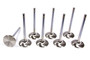 FERF6111-8 SBC C/6 1.940in Intake Valves