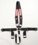 RQP748008 Camlock Harness Dragster U Belt SFI