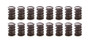 PACPAC-1916-16 1.538 Dual Valve Springs w/Damper (16)