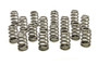PACPAC-1295X-16 1.589 Valve Springs - Ovate Beehive (16)