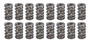PACPAC-1529-16 1.284 Dual Valve Springs (16)