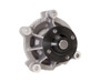 EDE8803 Ford 4.6L Water Pump - Short