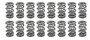 PACPAC-1364L-16 1.681 Triple Valve Springs  (16)