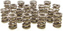 PACPAC-1226-16 1.550 Dual Valve Springs (16)