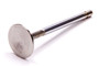 FRDM6505-G302 Stainless Exhaust Valve 1.540